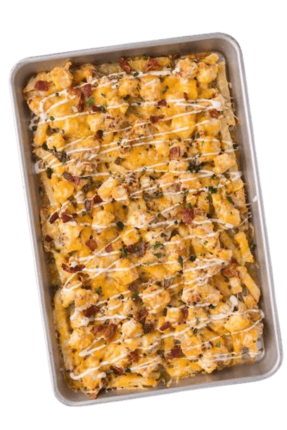 LOADED FRIES